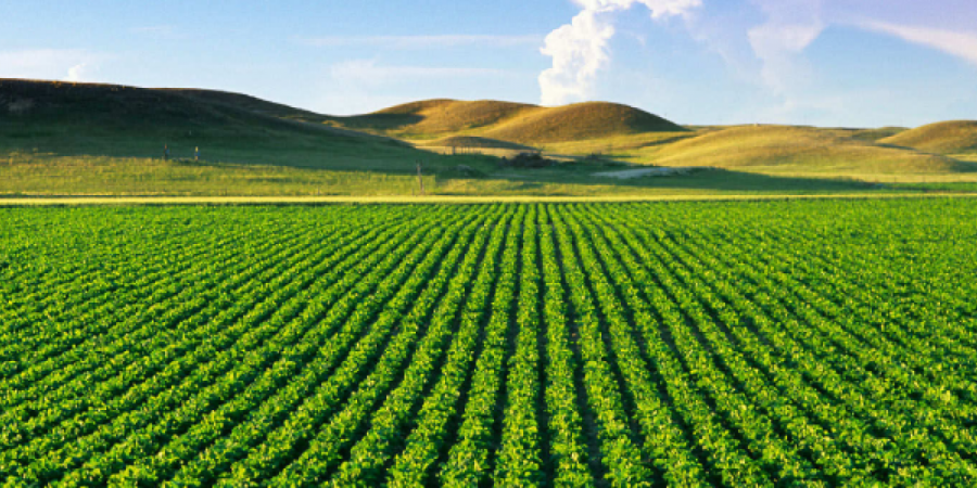 banner_agriculture-1600x700_1.png