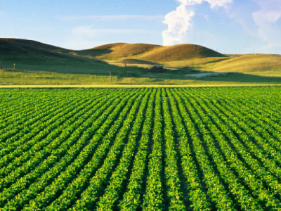 banner_agriculture-1600x700_1.png